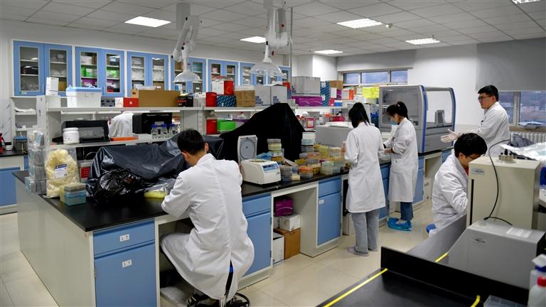 ��(qi��ng)ʡ��(hu��) �ٰl(f��)չ���օ��^�l(f��)������ ���조�S�Ӱ���Ƅ�(chu��ng)�����ȡ� �m���Є�(chu��ng)���(q��)��(d��ng)���I(l��ng)�^(q��)��f(xi��)ͬ�l(f��)չ�¸��